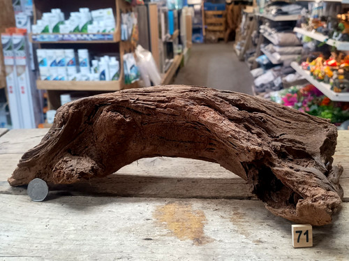 Medium natural bogwood - natural,