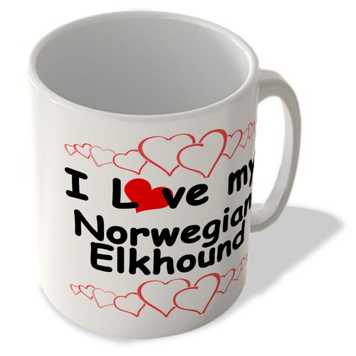 Love norwegian elkhound - love, my