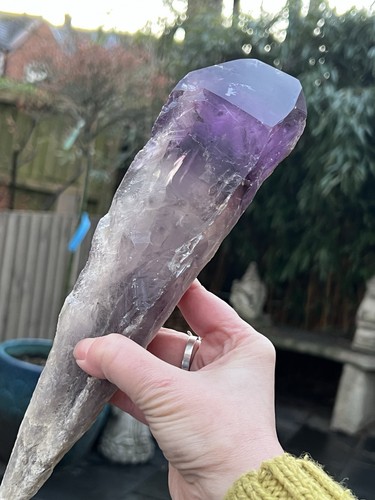 Amethyst wand root - amethyst,