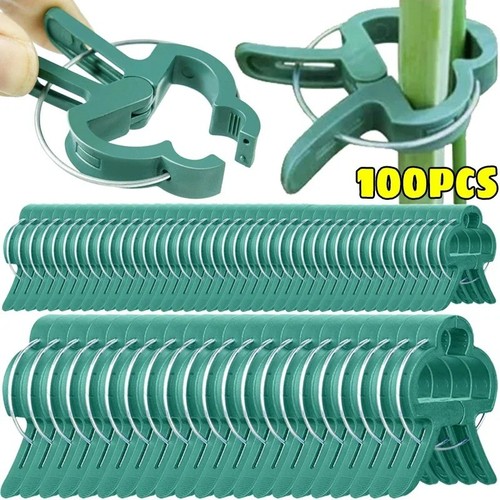 100 garden plant - 20/100, clips
