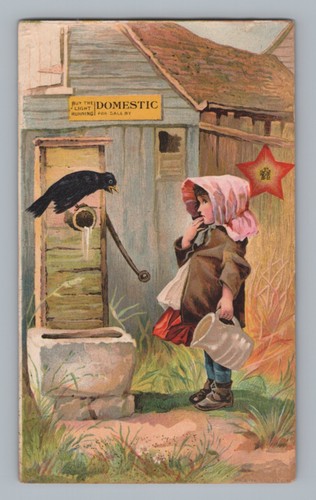 Domestic girl black bird - domestic,