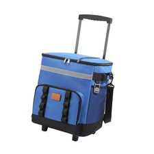 Large cooler carry bag with - cooler,