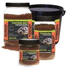 Komodo Tortoise Food Holistic