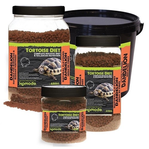 Komodo tortoise food - komodo, holistic