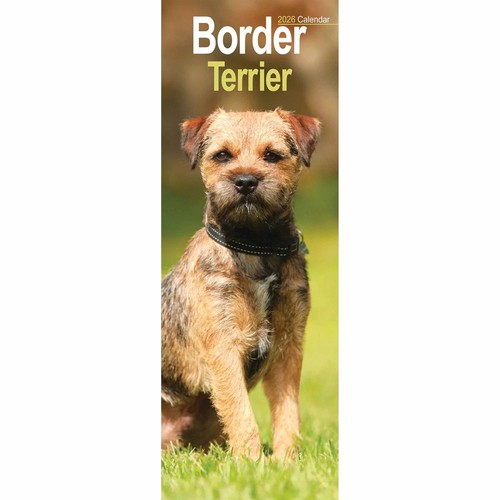 Border terrier slim calendar - border,
