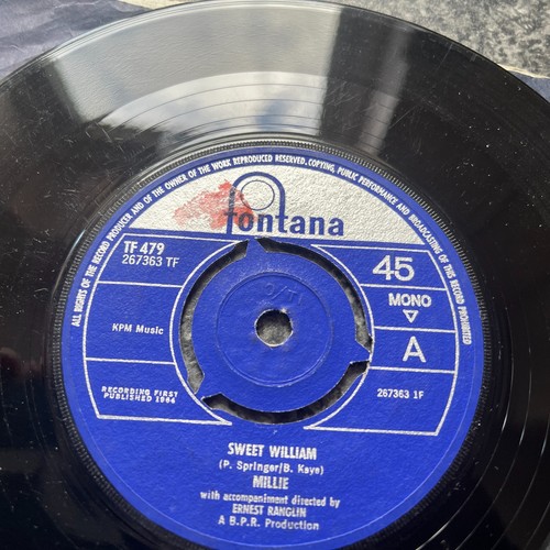 Millie sweet william - millie,