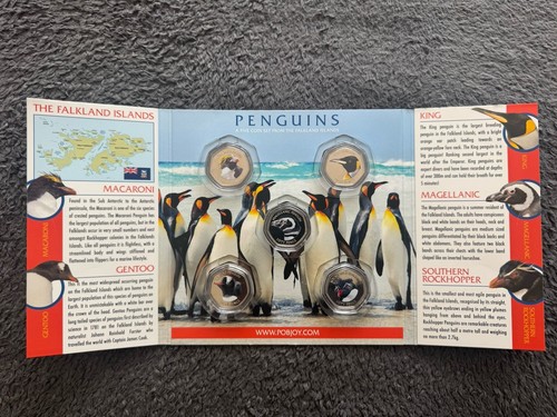 2018 falklands penguins 5 - 2018,