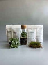 Bottle Terrarium Kit - H: 17cm