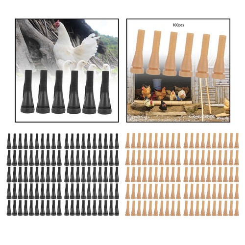 Domestic bird plucking sticks - domestic,