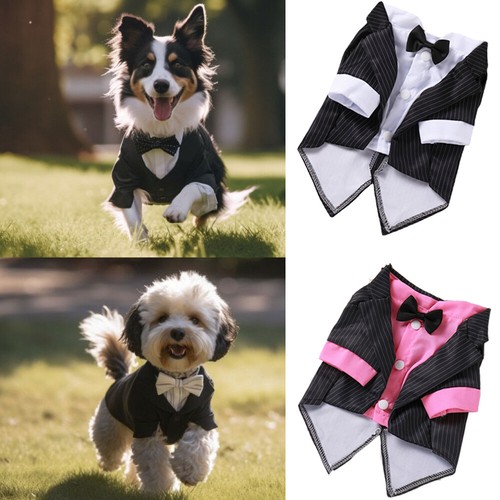Pet dog wedding coat - wedding,