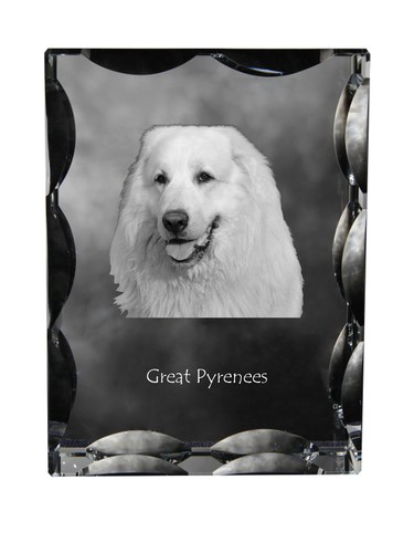 Pyrenean mountain dog - mountain, dog,