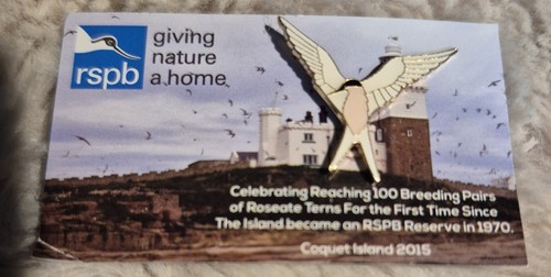Rspb bird pin badge - bird,