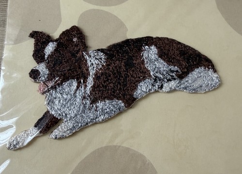 Border collie - &, white)