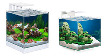 Ciano Nexus Pure Cube Aquarium With LED Light 15 litre 25 litre Nano Fish Tank