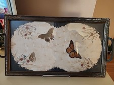 Vintage Butterfly Art Glass
