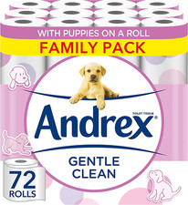 Andrex Gentle Clean Toilet