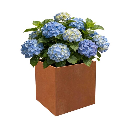 Lx16 wx16 corten steel - 16"lx16"wx16"h,