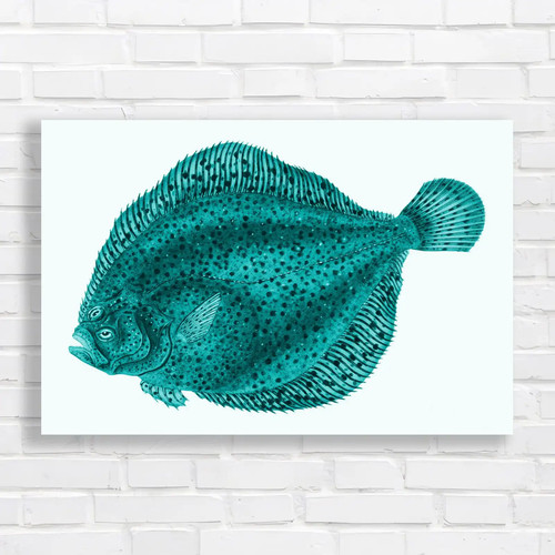 Exotic fish underwater nature - exotic,