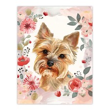 Cute Teacup Yorkshire Terrier
