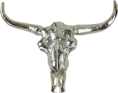 Long horn skull polished - skull,