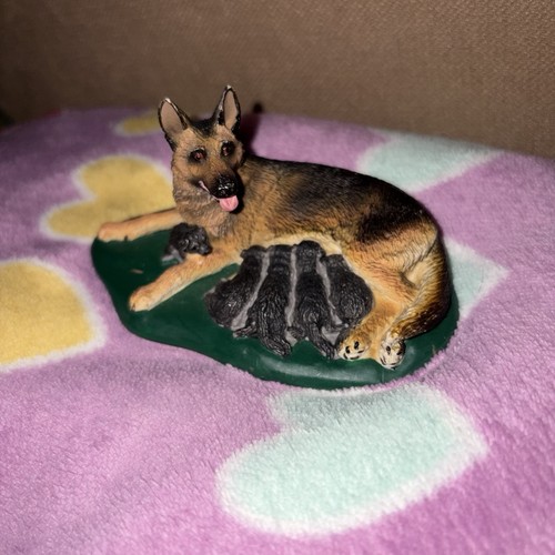 Rare german shepherd bitch - german,