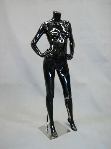 Adult glossy black - adult, female