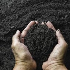 Topsoil Granules Pellets Loose