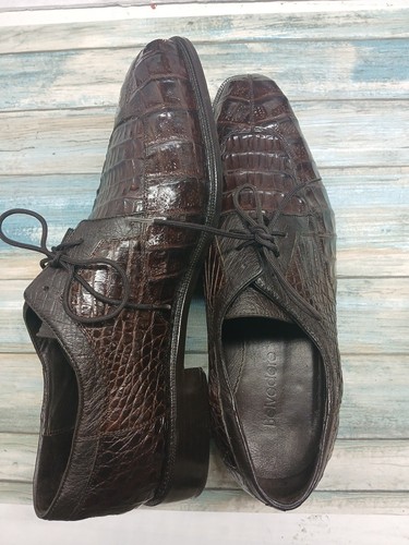 Belvedere genuine crocodile - genuine,