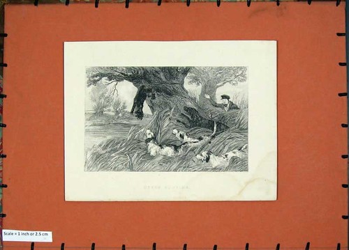Original old antique print - original,
