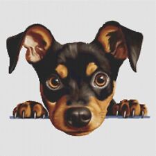 German Pinscher Puppy Dog