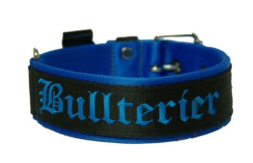 Nylon collar bullterrier - collar,