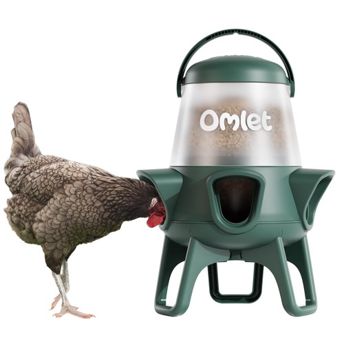 Omlet waste chicken - waste,