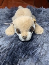 NICI Speeky Meerkat Plush Soft
