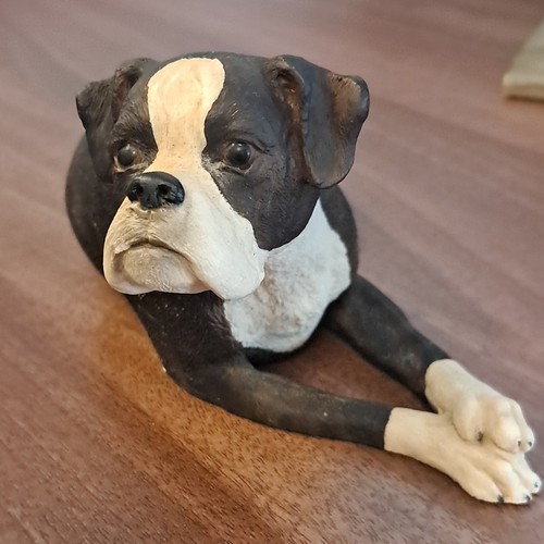 Dogs galore brindle boxer - dogs,