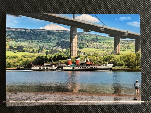 6x4 print paddle steamer - print,