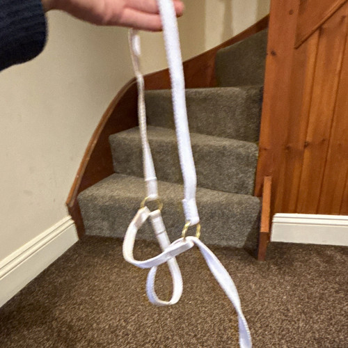 White nylon hand - in-hand, bridle