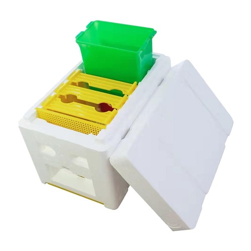 Beekeeping case bee queen - beekeeping,