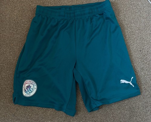 Manchester city 2021 puma - city, 2021/22