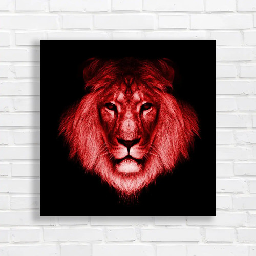 Lion face and lions - and,