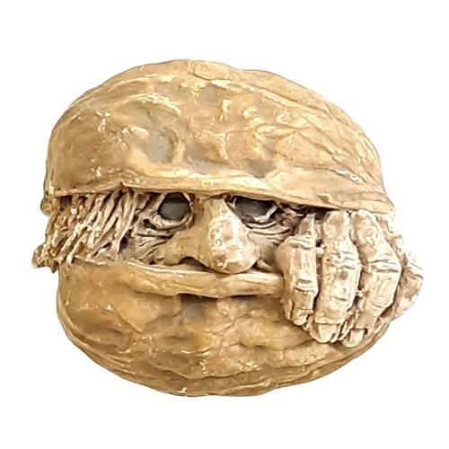 Clare craft disc world nutcase - craft,