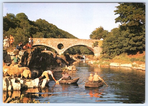 Postcard cenarth dyfed - cenarth,