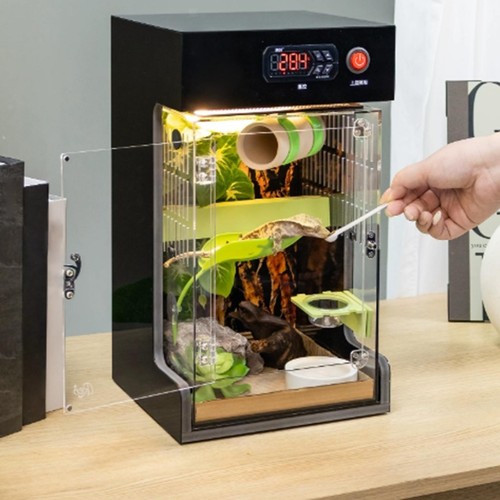 Reptile feeding box durability - feeding,