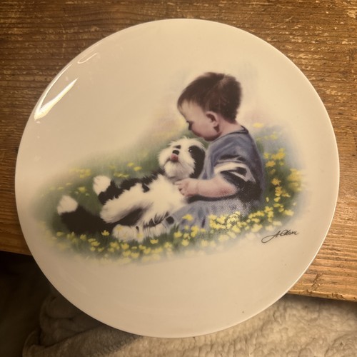 Bearded collie 1997 - bearded,