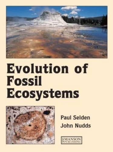 Evolution fossil - evolution,