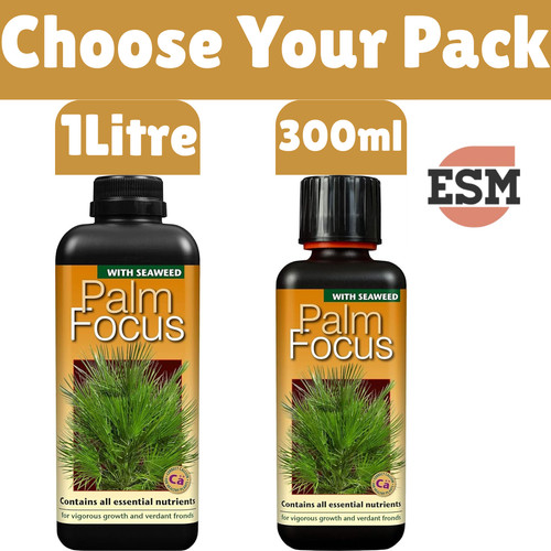 Palm tree fertiliser feed for - tree,