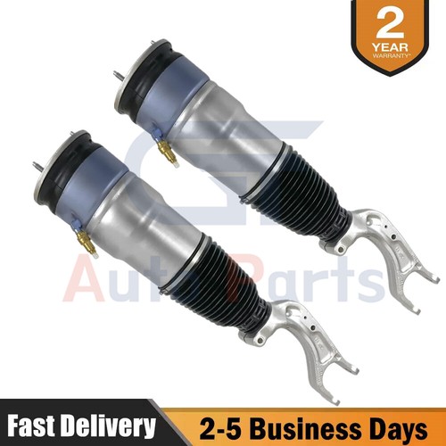 Front air suspension - suspension, shock