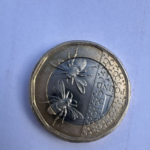 2025 one pound - pound, coin