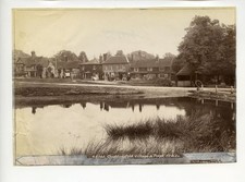 Chiddingfold Village & Pond 1902 Photo By Frith