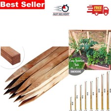 30cm Wooden Garden Stakes Set