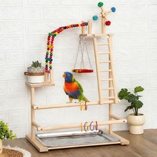 Parrot Playstand Bird Play